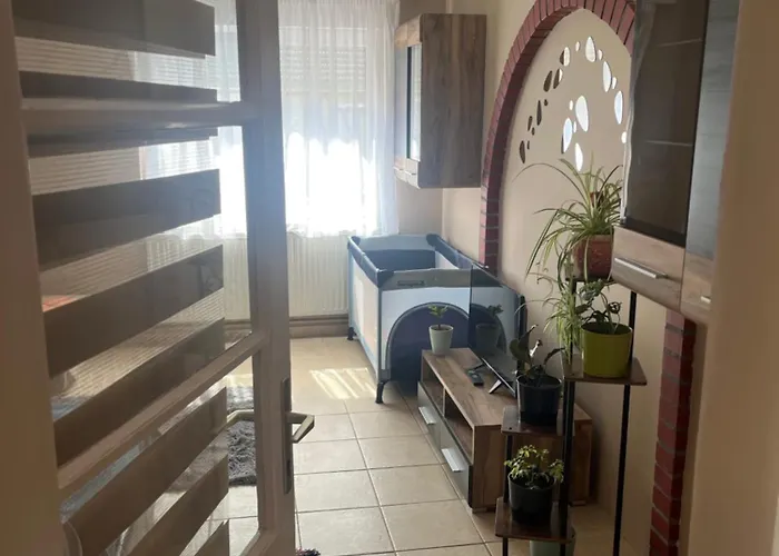 Tejfeles Vendeghaz *